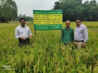 প্রদর্শনী পরিদর্শন